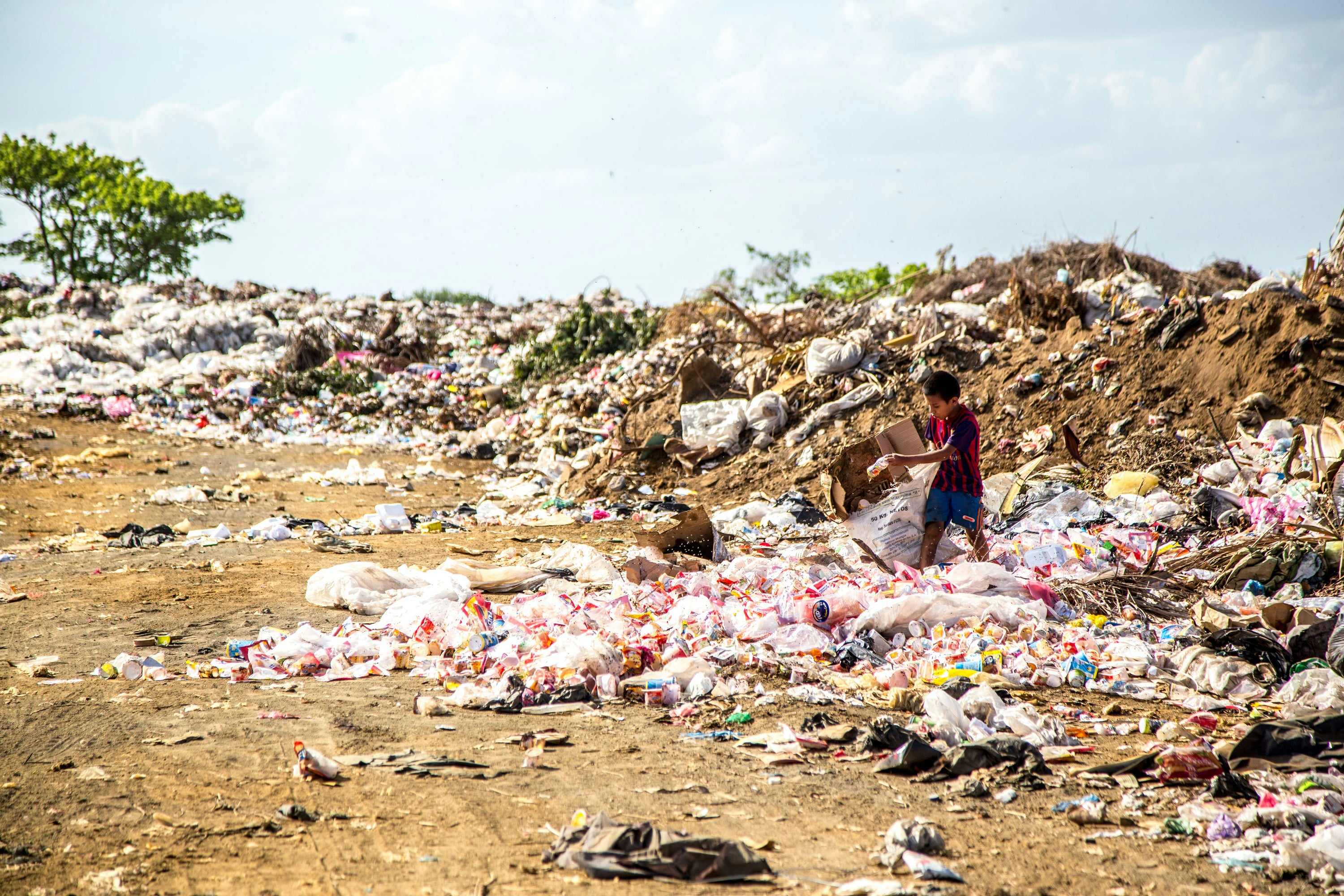 Overconsumption Solutions & Sustainable Living Research | Data-Backed ...